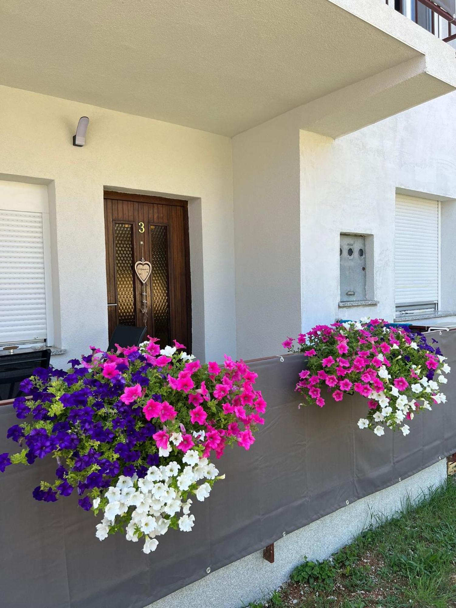 3Level Apartments Kroatien Umag Eksteriør billede